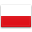 Polish Translation and Localization