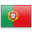 Portuguese Translation and Localization