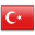 Turkish Translation and Localization